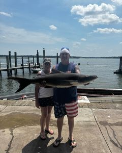 Cobia fish caught in VA