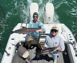 Two cobia fish caught during fishing trip in Norfolk VA on boat with twin outboard motors