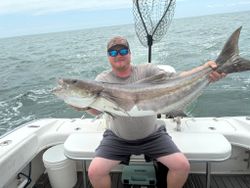 Large cobia fish caught during fishing trip in Norfolk VA waters displayed on boat deck with fishing net
