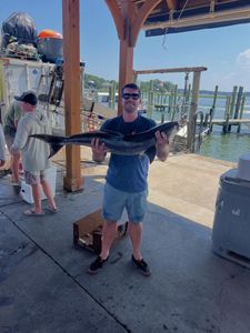 Cobia catch displayed at Norfolk VA fishing marina dock
