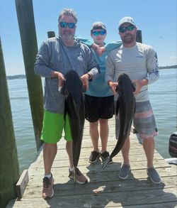 Two large cobia fish displayed on wooden dock after successful fishing trip in Norfolk VA