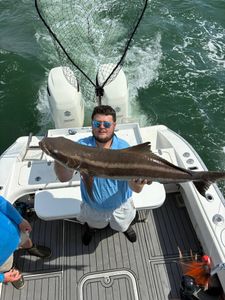Angler holds large cobia fish on fishing boat in Norfolk VA waters