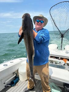 Large cobia fish caught during fishing trip in Norfolk VA