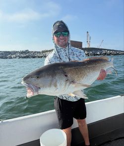 Large redfish caught while fishing in Norfolk VA waters