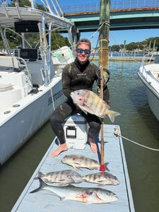 Successful fishing trip in Norfolk VA showing catch of sheepshead and bluefish on boat dock