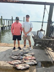 Successful sheepshead fishing trip in Norfolk VA with multiple fish displayed on dock