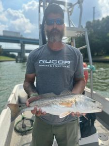 Redfish caught while fishing in VA