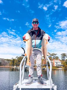 Redfish fishing in Norfolk