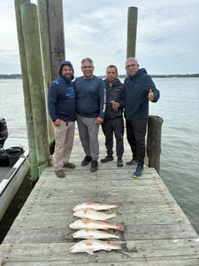 3 redfish caught in Norfolk