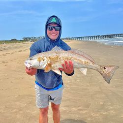 Redfish caught by angler in Norfolk