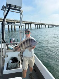 Sheepshead fish caught while fishing in Norfolk