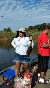 Best great fishing in FL