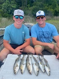3 fish caught while fishing in FL
