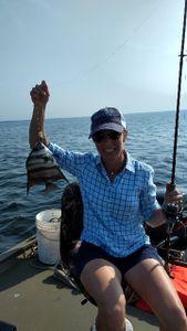Angler fishing in Florida
