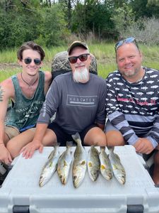 5 spotted weakfish caught while fishing in FL