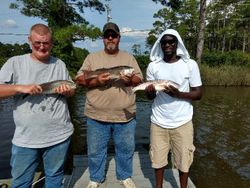 Three fishermen in Florida catching 3 fish