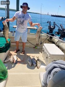 3 fish caught in Mackinaw City