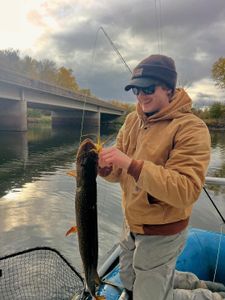 Northern pike caught fishing in Saint Croix Falls Wisconsin