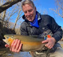 Winter Rainbow Trout Fishing in GA