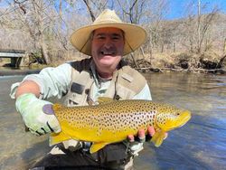 Early Spring Brown Trout Action!
