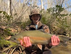 Casting dreams into Georgia’s scenic waters!