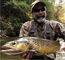 Impressive sea trout caught in GA