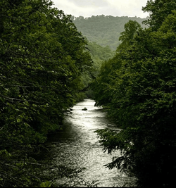 Scenic view of Cornelia