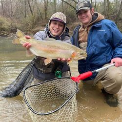 A pink salmon caught while fishing in Georgia