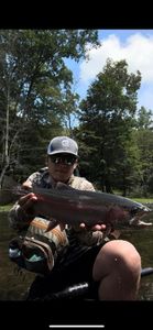 Angler with a rainbow trout catch in Cornelia