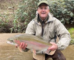 A rainbow trout being caught in Cornelia