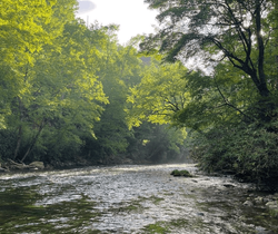 Angler fishing in GA