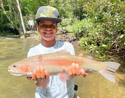 Rainbow Trout, 27-inch fish caught while fishing in Cornelia