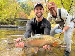Rainbow trout caught by two people in Cornelia
