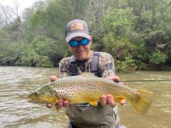 A sea trout measuring 25 inches caught in Cornelia