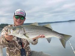 Striped Bass caught in GA