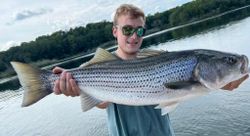 Striped bass caught while fishing in GA