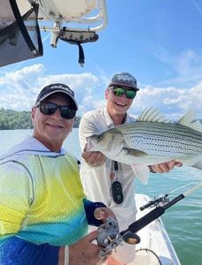 Wiper (Hybrid striped bass) fish caught by two people in Cornelia
