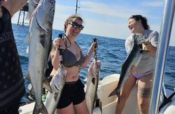 3 bluefish caught while fishing in NC