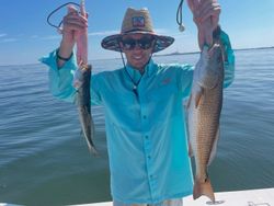 Redfish and Spotted Weakfish caught during fishing tour in Ruskin