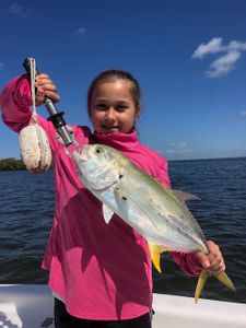 A single Crevalle Jack fish caught in Ruskin, Florida