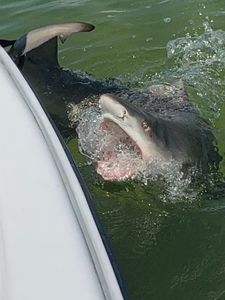 Fishing trip in FL