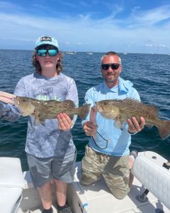 Two gag grouper fish caught in Ruskin, Florida
