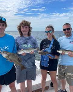 3 Gag Grouper and Spotted Weakfish caught while fishing in Ruskin