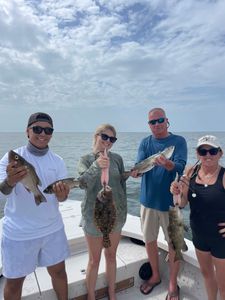 4 Gag Grouper, Summer Flounder, and Spotted Weakfish fish caught by 4 people in Ruskin