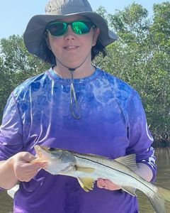 Snook fish caught in FL
