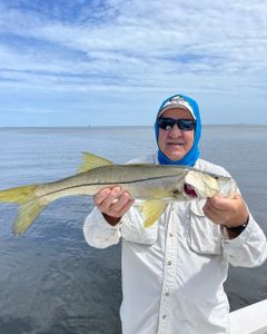 Snook fish caught by angler in Ruskin