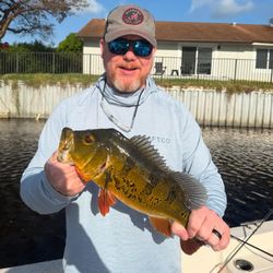 Reel in your dream catch today!