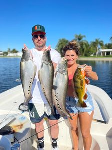 Large Clown Knifefish & Peacock Bass from FL