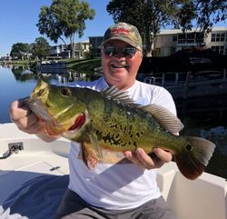 Bass Trophy in Delray Beach Fishing Charters