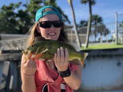 Angler with one fish caught in Delray Beach